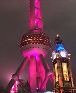 我，75后，年薪几十万累到不行，离开上海回乡下种地放羊